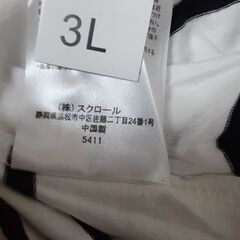 オーガニックＴシャツ　T-1２３の画像
