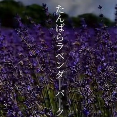 玉原ラベンダーパーク‼️ツーリング8/17!女性メンバー募集