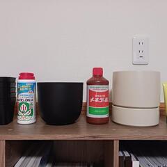 【植木鉢】無印 & MACETAの画像