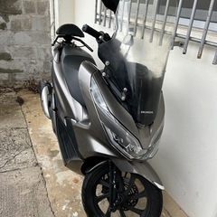 pcx81の画像