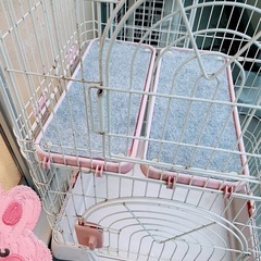 猫ちゃんゲージの画像