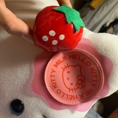 ハローキティ　お椀　ぬいぐるみ　セットの画像