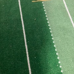パター練習マットの画像