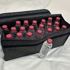 新品未使用 収納ケース の画像