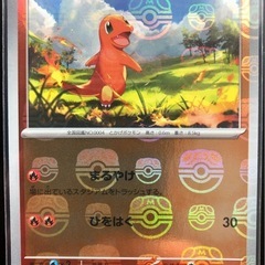美品 ポケモン 151 御三家 ヒトカゲ&ゼニガメ&フシギダネ マスターボールの画像