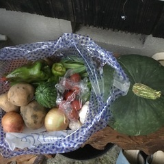 野菜セット大の画像