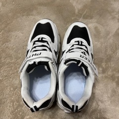 大人も履けるローラーシューズの画像