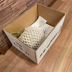 高級　マスクメロン　食べ頃の画像