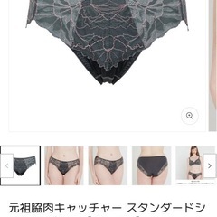 未使用Heaven Japanの適正下着の画像