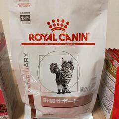 猫フード ドライ・ウエットの画像