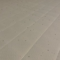 ニトリ 脚付きマットレスの画像