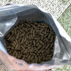 モルモット フードの画像