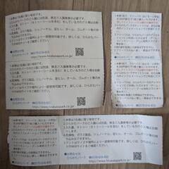 ひらパー プールチケット フリーパス割引 3枚の画像