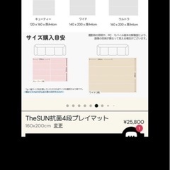 caraz   thesun ベビープレイマットの画像