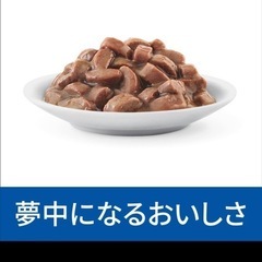 ヒルズ　猫用　療法食　　　の画像