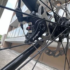 Specialized ロードバイク の画像