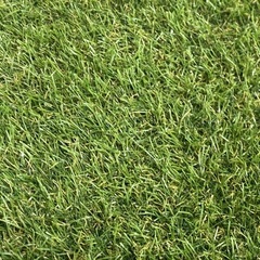 人工芝の画像