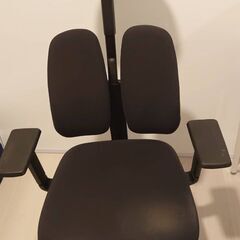 【デュオレスト オフィスチェア ブラック 可動肘 メッシュ 腰痛対策 姿勢サポート DR-7501SP　1ABK1】の画像