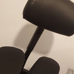 【デュオレスト オフィスチェア ブラック 可動肘 メッシュ 腰痛対策 姿勢サポート DR-7501SP　1ABK1】の画像
