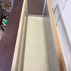 水槽の画像
