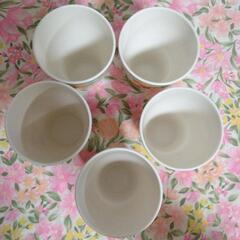 VALENTINO TABLEWARE グラス 5つセットの画像