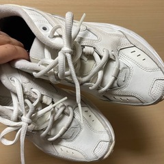ナイキ　テクノ　スニーカー最終価格の画像