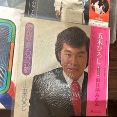 邦人歌手レコード9枚の画像