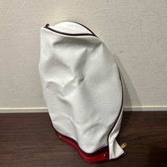 本間ゴルフキャディバッグの画像