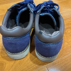 VANS  25cmの画像