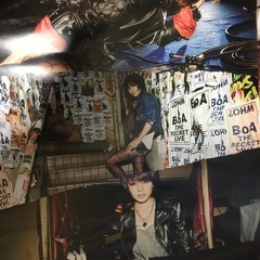 BoAカレンダー・ポスターセット3/3の画像