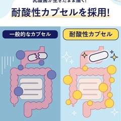 【新品・2袋】ビフィラル BIFIRAL 乳酸菌サプリ 菌活の画像