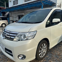 ニンサンセレナの画像