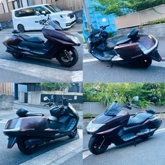 マグザムSG17J ブラック&ブラックで洒落乙な マグちゃんです♪の画像
