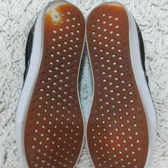 vansスリッボンsize28の画像