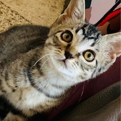 お尻が可愛すぎる男の子💙