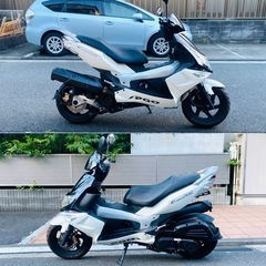 PGO G-MAX200 外装綺麗で加速も好調です^_^♪の画像