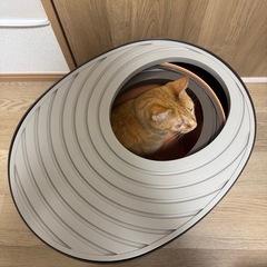 上から猫トイレ　システムタイプ+プチ　2種類の画像