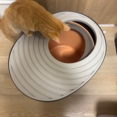 上から猫トイレ　システムタイプ+プチ　2種類の画像