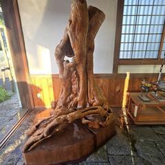 木の根　　オブジェ？？の画像