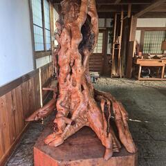 木の根　　オブジェ？？の画像