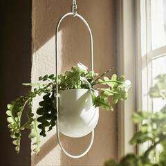 IKEA　CHILISTRÅN チリストローン　2個セットの画像