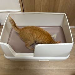 ユニチャーム　デオトイレ　猫用トイレ快適ワイドの画像