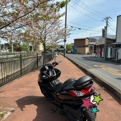 《比較的美品》マジェスティ250 【SG20J】の画像