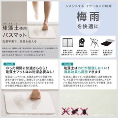 ほぼ新品 ニトリ 珪藻土 バスマット 大型 40×55cm 美品 グレー お風呂マットの画像