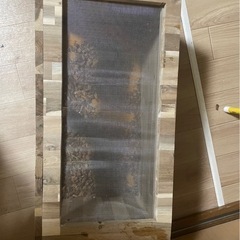 爬虫類ケージ　603030 観音扉の画像