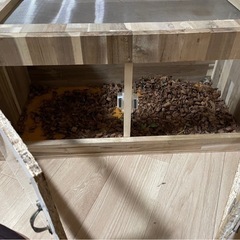 爬虫類ケージ　603030 観音扉の画像