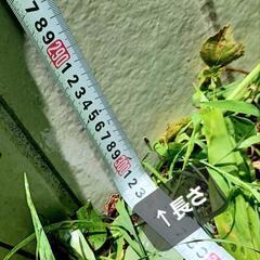 窯業系サイディング　※商品説明要確認の画像