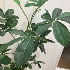 【引き渡し者決定】フェイクグリーン人工観葉植物の画像