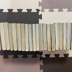 魔人探偵脳噛ネウロ 全巻セットの画像