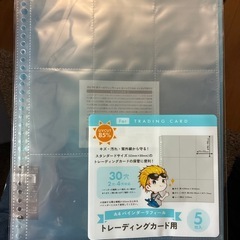 ポケカ ノーマルカード2箱分(約1000枚) カードファイル付きの画像